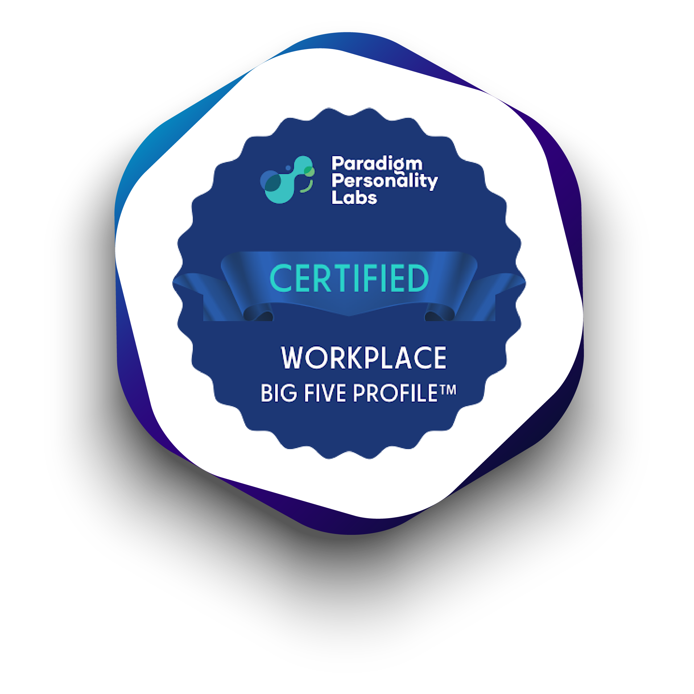 WorkPlace Big 5 Profile