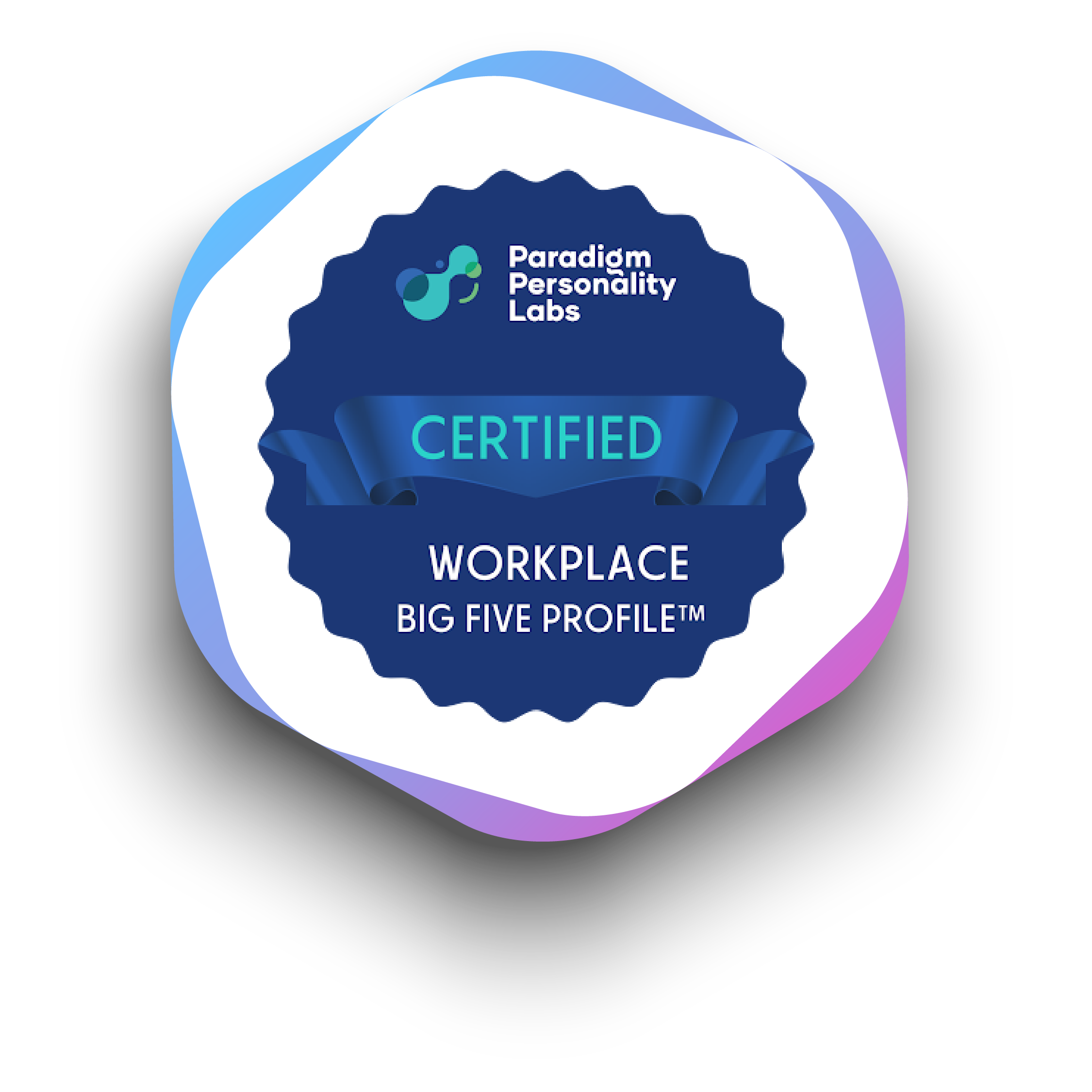 WorkPlace Big5 Profile badge