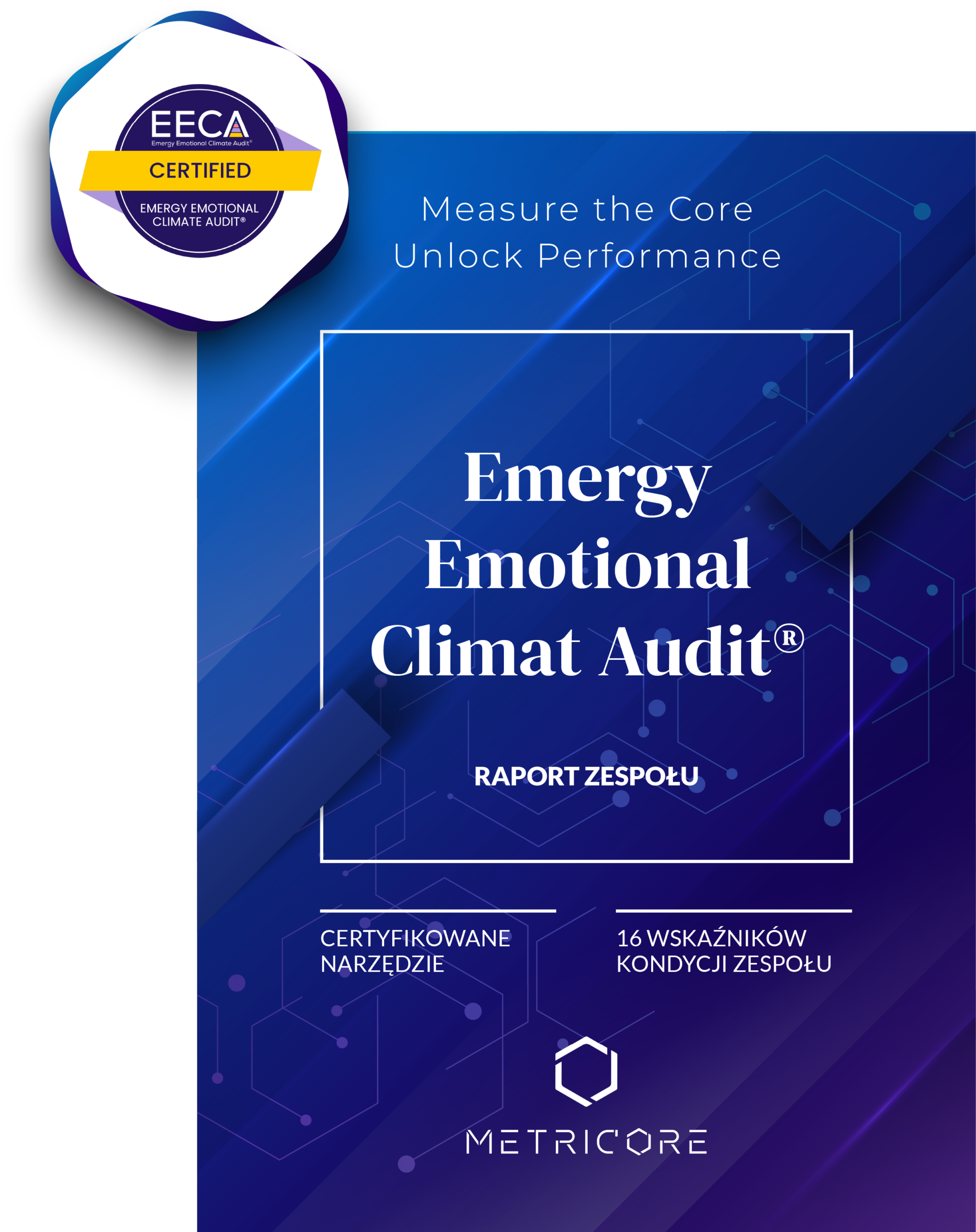 Emergy Emotional Climate Audit
