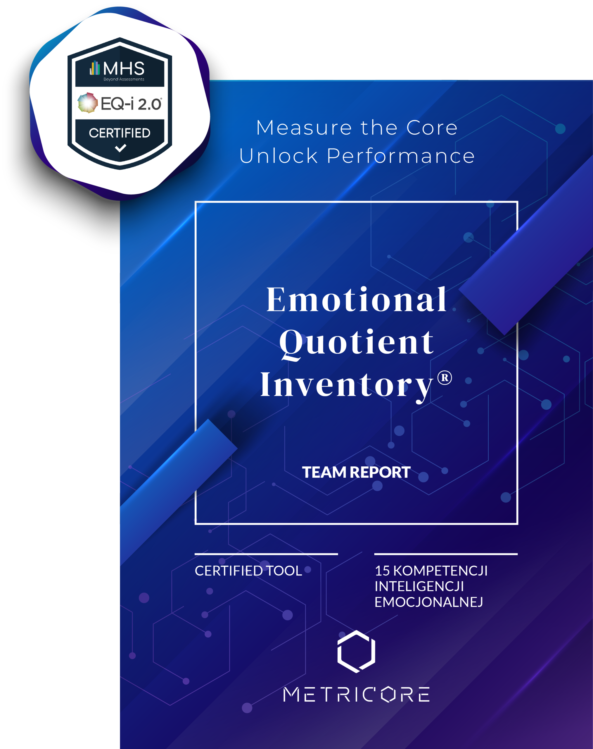 EQi 2.0 team report