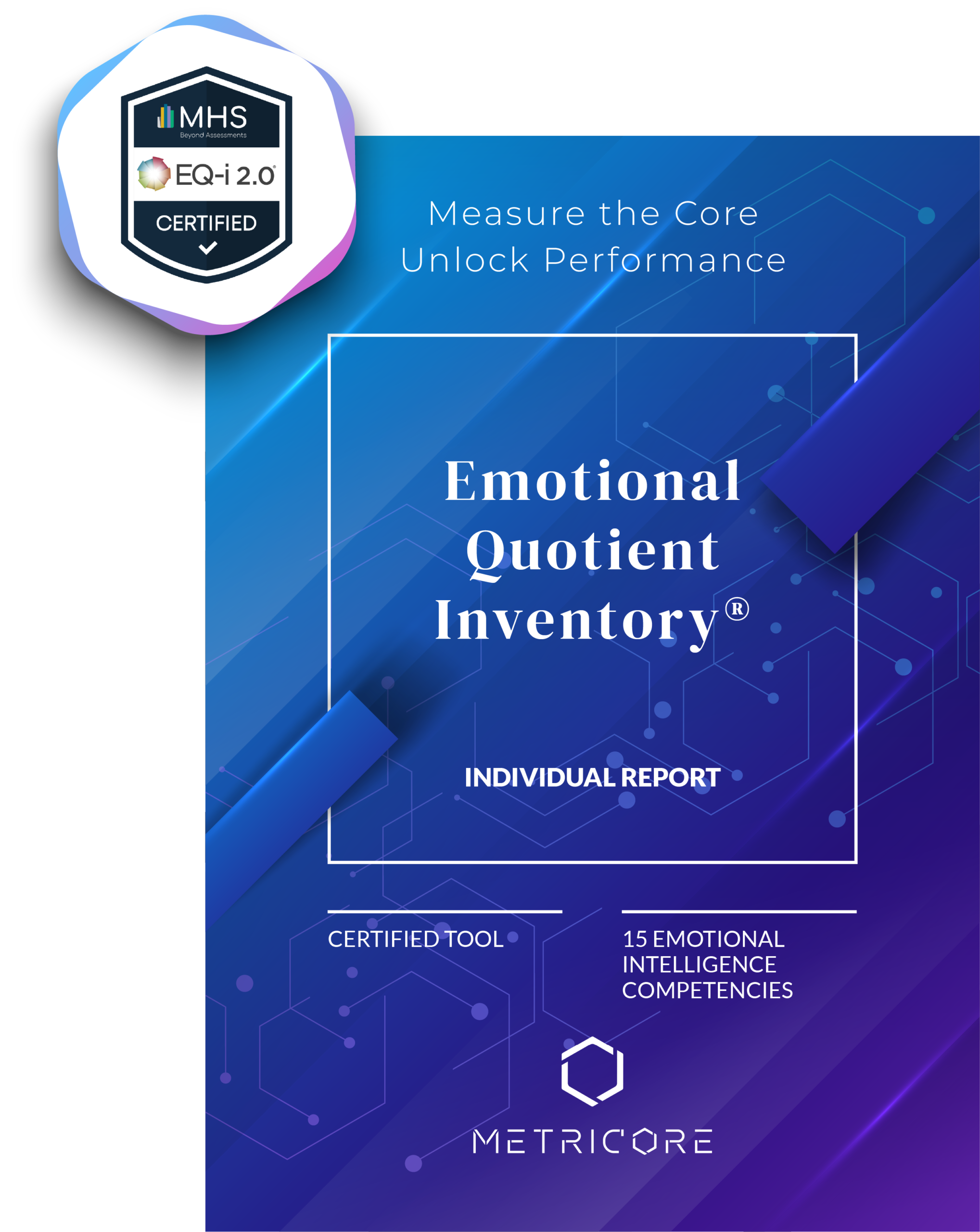 EQi individual report
